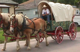 4H Covered Wagon