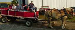 Horses getting ready for Parade