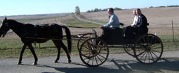 Bride and Groom Carriage Ride