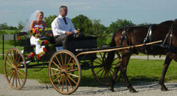 Bride Riding to Wedding